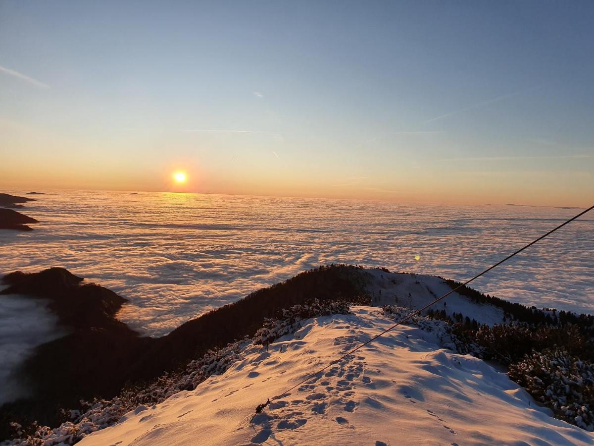 Hisa Na Vrtu Daire Šenčur Dış mekan fotoğraf